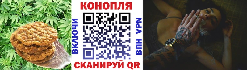 Canna-Cookies конопля  Купить где  Ясногорск 