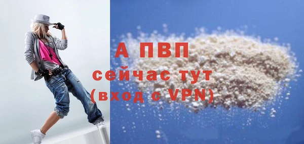 тгк Каменногорск