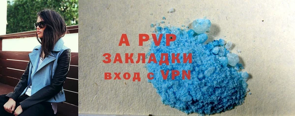 apvp Инсар