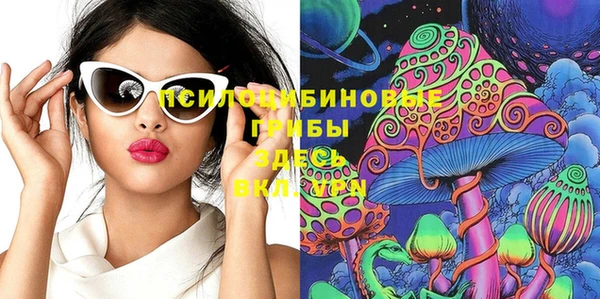 тгк Каменногорск
