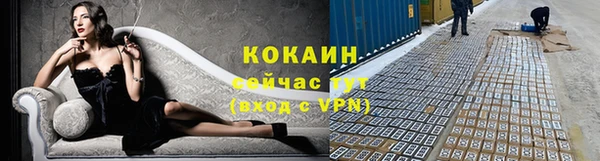 apvp Инсар