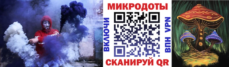 Галлюциногенные грибы Psilocybine cubensis  Купить  Ясногорск 